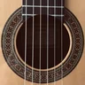 mn6strings 