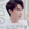 In the Wind