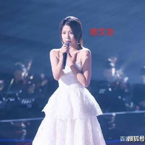 Chen Wenfei