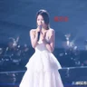 Chen Wenfei