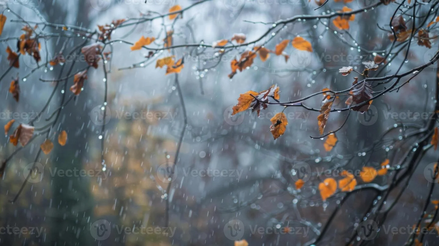 Four little Seasons (Winter) - Celio Vieira Peixoto (This movement does not include piano.) by Celio Vieira Peixoto
