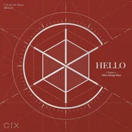순수의 시대