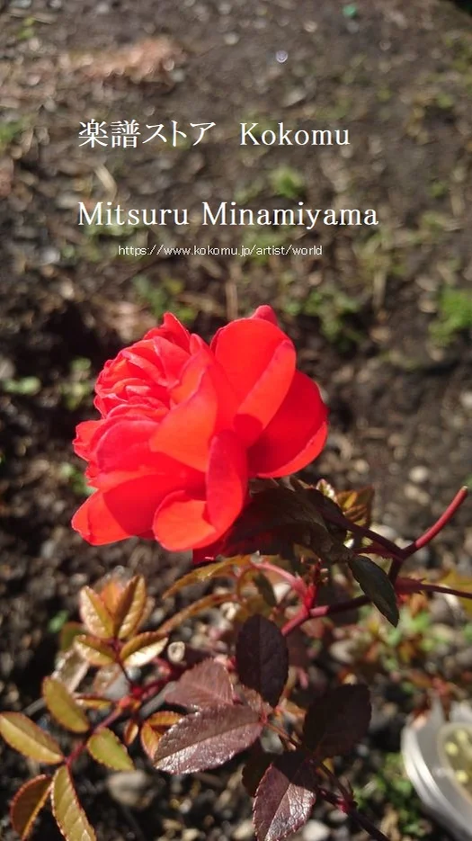 ラヴ・イズ・オーヴァー - 欧陽菲菲 作詞:伊藤薫 作曲:伊藤薫 by @MitsuruMinamiyama