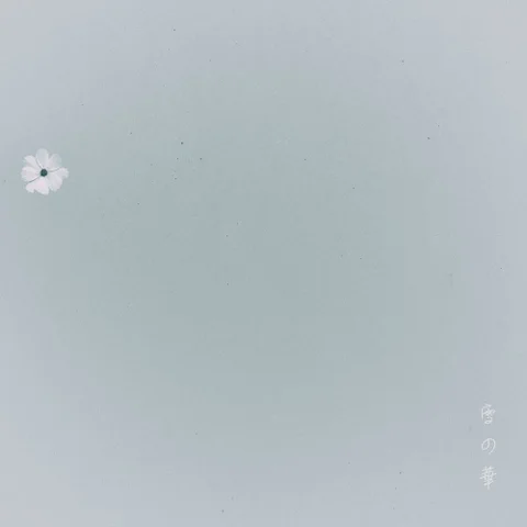 Snow Flower (雪の華)