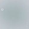 Snow Flower (雪の華)