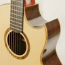 FSGuitarHome