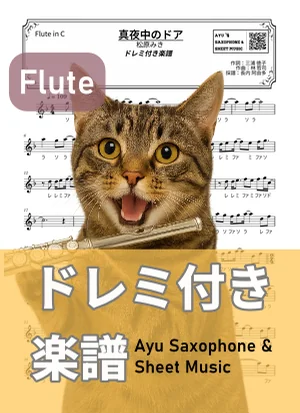 Mayonaka No Door ~Stay with Me - Miki Matsubara (flute / note names included) by Ayu Saxophone & Sheet Music