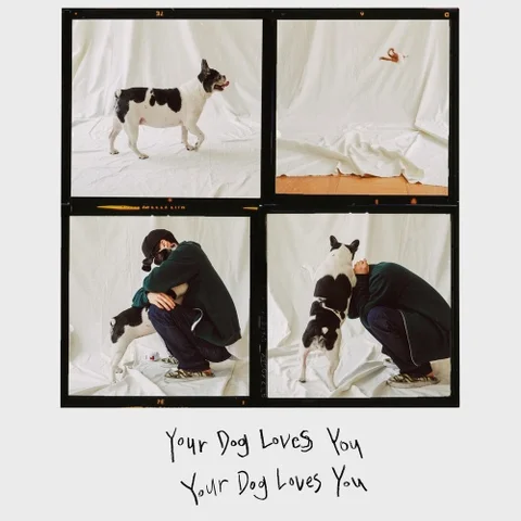Your dog loves you