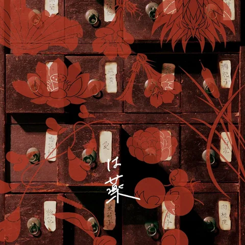 Ai wa Kusuri