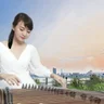 Lily Zheng 純箏