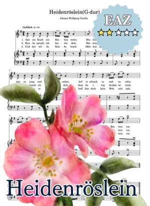 Heidenröslein [with accompaniment MP3]   G-flat major_Ges-dur  Wild Rose - Franz Schubert (野ばら/Wild Rose/ドイツ歌曲/移調/Transposed/karaoke/accompaniment) by cogito