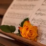 Flower Piano