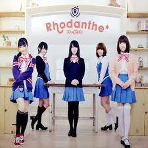 Rhodanthe*