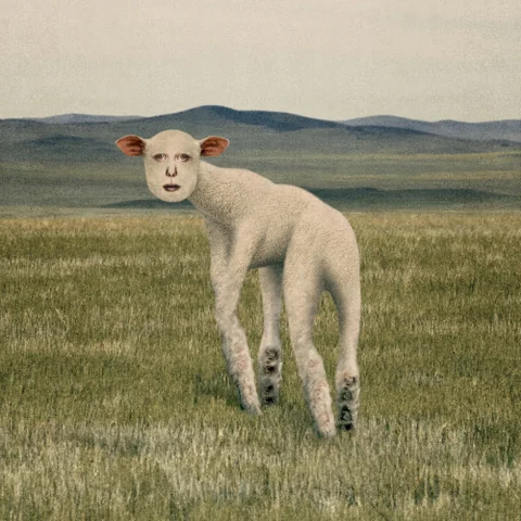 Extinction