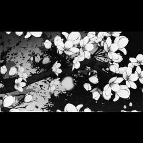 벚꽃이 쏟아지던 밤