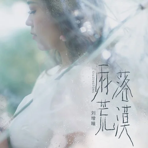 雨落荒漠 - 刘增瞳 by c