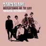 Reflections Of My Life