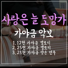 [가야금] 사랑은 늘 도망가 - 임영웅