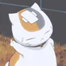 Heero