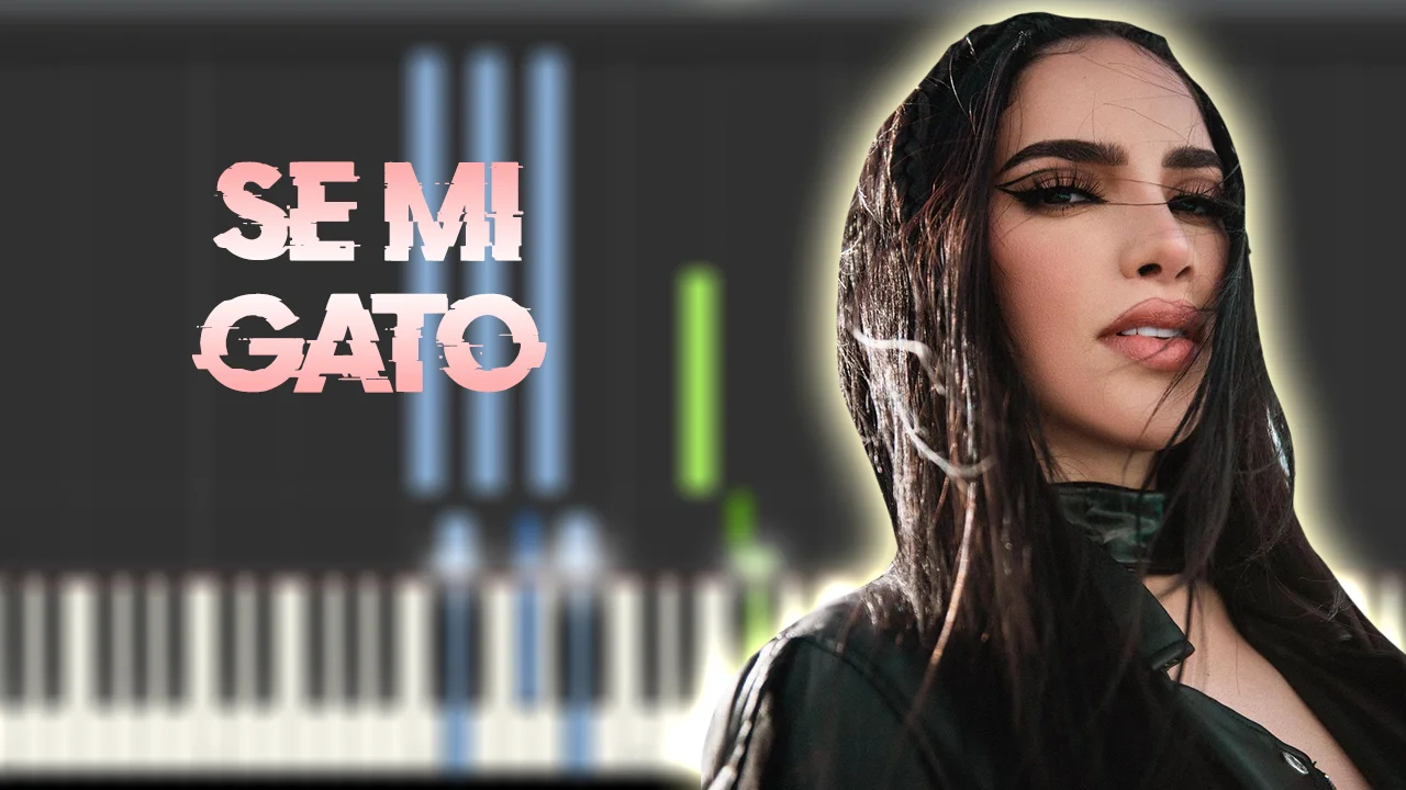 SE MI GATO - Kim Loaiza