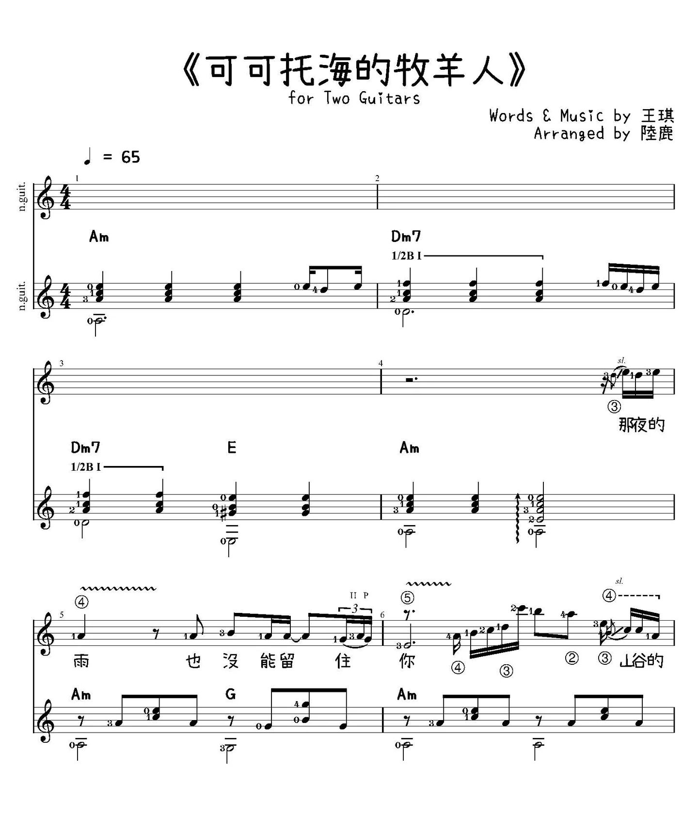 《可可托海的牧羊人》for Two Guitars - 王琪 by 王琪