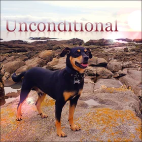 Álbum Incondicional