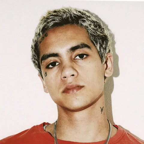 Dominic Fike