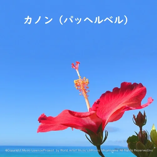 点描の唄 - 井上苑子 作詞：大森元貴 作曲：大森元貴 by @MitsuruMinamiyama