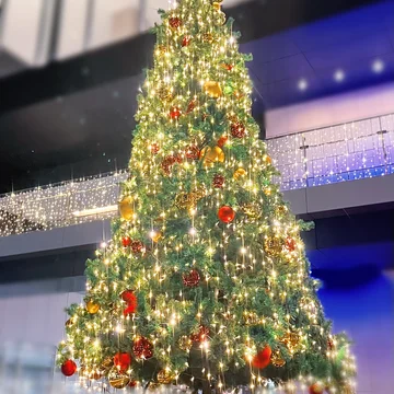 クリスマス曲/Christmas Songs (3曲セット/ Flute+Violin+Piano)