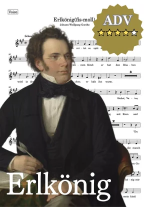【伴奏音源付き】Erlkönig 魔王 C minor_c-moll ハ短調 - フランツ・シューベルト (c-moll/Cm/C-minor/ハ短調) by cogito