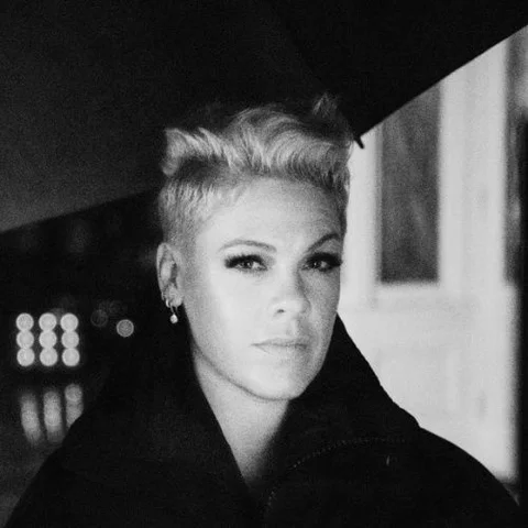 P!nk(핑크)