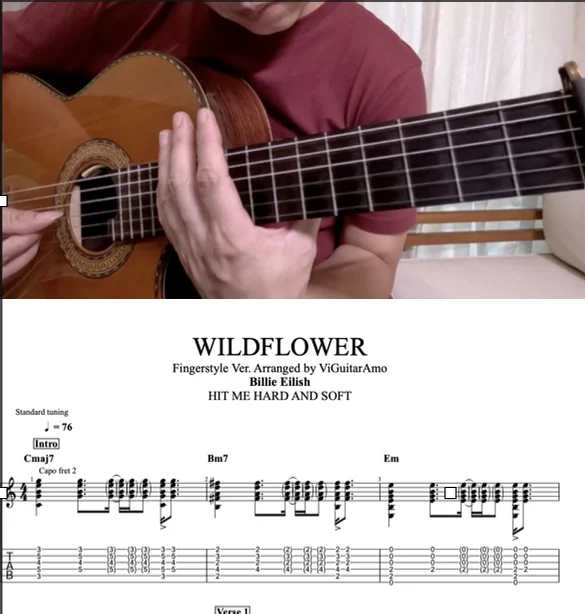 WILDFLOWER - Billie Eilish (Finger-Style Cover) by ViGuitarAmo (好吉他羊老蘇 Taiwan)