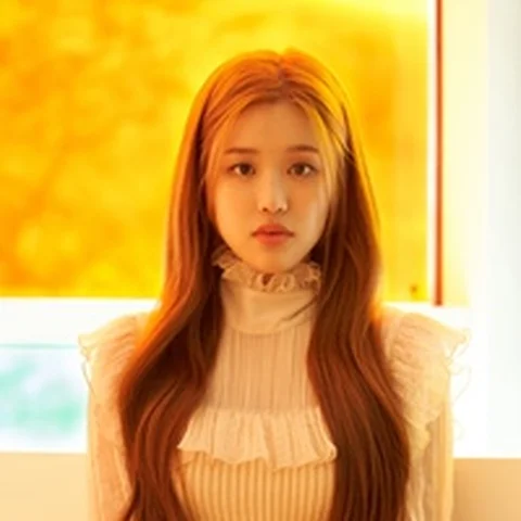 사야