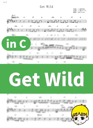 Get Wild - TM NETWORK (City Hunter / in C) by muta-sax