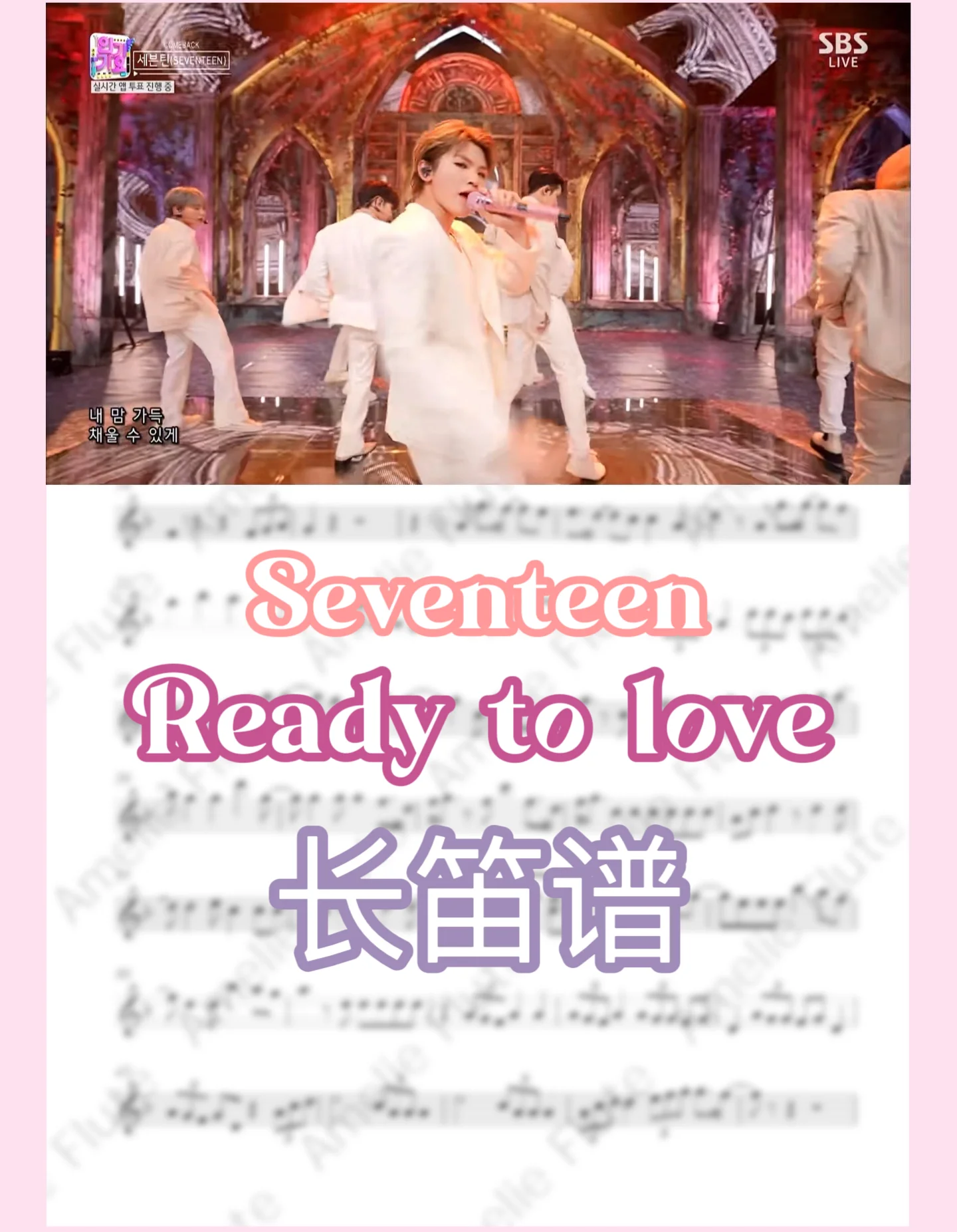 【KPOP】Ready to love - Seventeen by Amelie Flute