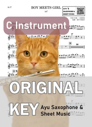 BOY MEETS GIRL - trf (in C|フルート等) by Ayu Saxophone &amp; Sheet Music
