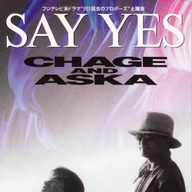 Say yes