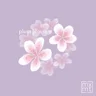 Plum Blossom