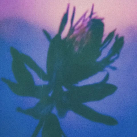 자격