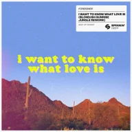 I Want to Know What Love Is