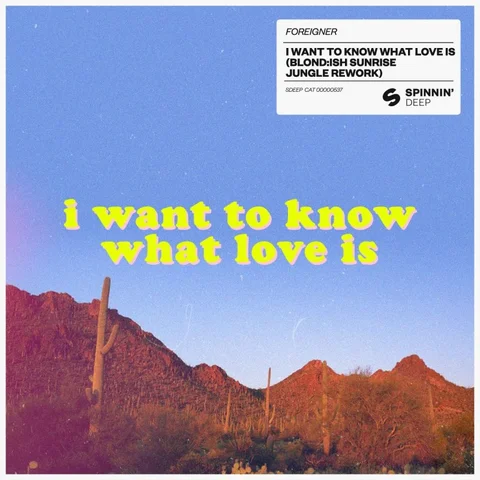 I Want to Know What Love Is