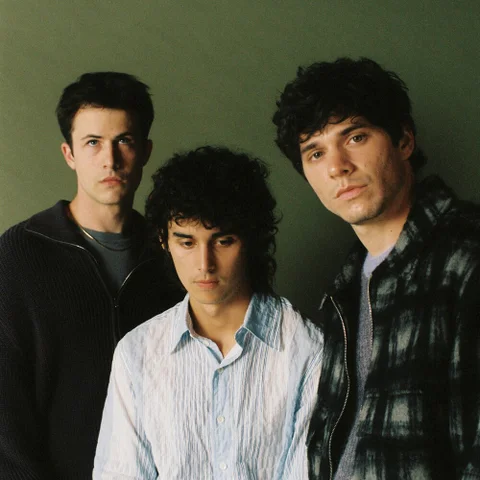 Wallows