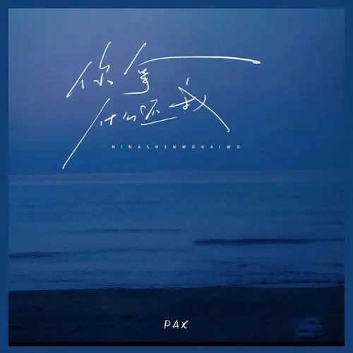 你拿什么还我 - PAX by c