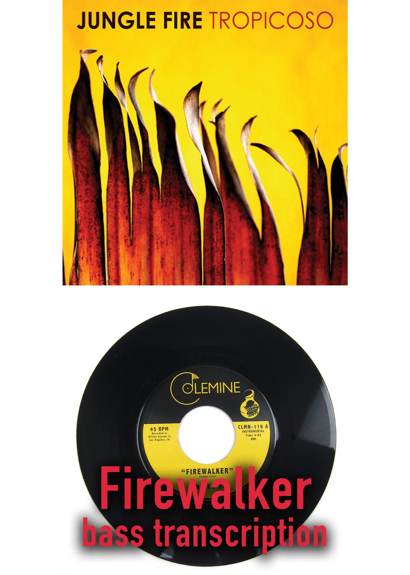 Firewalker - Jungle Fire (Bass Guitar Score) by Jonathan Lai