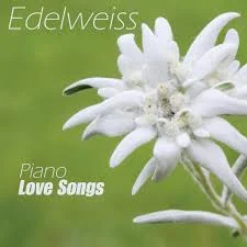 Edelweis - Oscar Hammerstein Ii / Robin Spielberg / Richard Rodgers (This is a beautiful song, I hope you enjoy it) by Bagus Tandayu