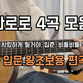 한로로 4곡 통기타 입문용 왕초보용 모음집