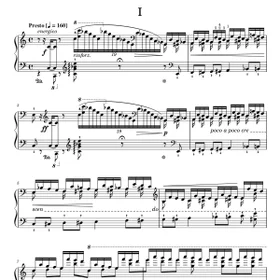 Liszt - Transcendental&nbsp;Études No.1~12 (30%)