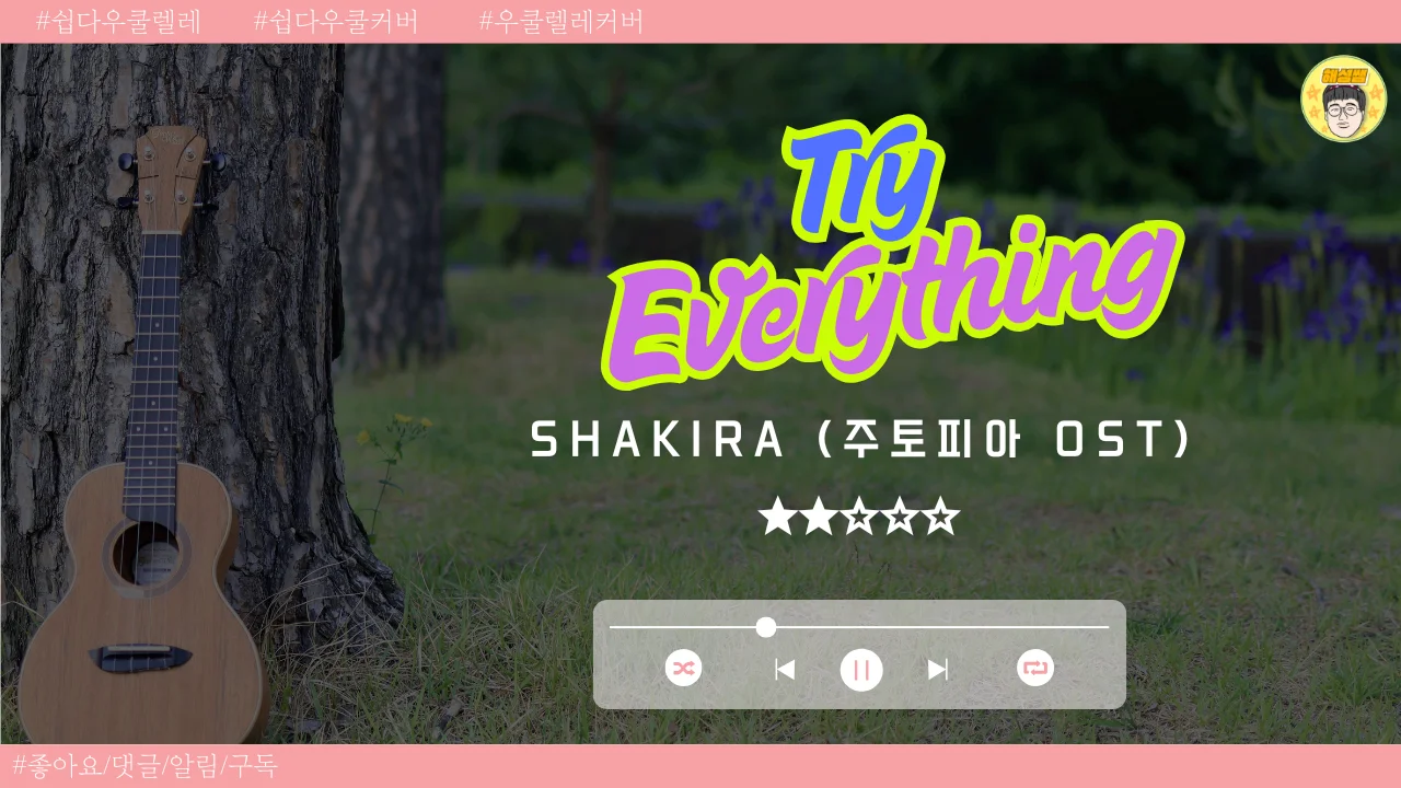 Try everything (쉽다우쿨) - Shakira (주토피아 OST) by 해성쌤