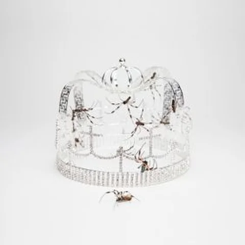 You Should See Me In A Crown