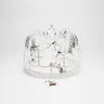 You Should See Me In A Crown